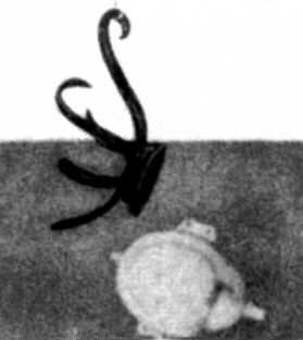 Illustration 13A, Marcel Duchamp, Hat Rack, 1917.