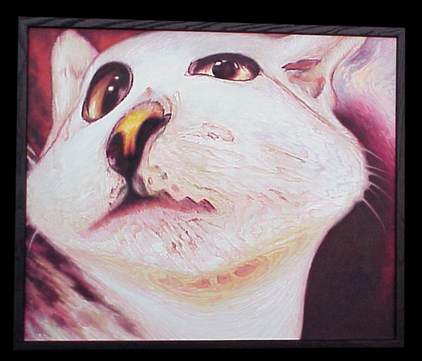 Tim K - (untitled - fisheye cat) Painting number 2 in the Fresh Widow Factory Series - click for next image